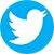 twitter logo icon blue